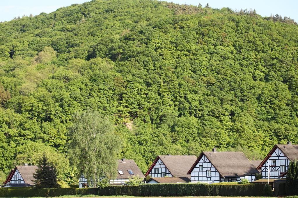 Appartement Bos En Kasteel à Nideggen Extérieur photo